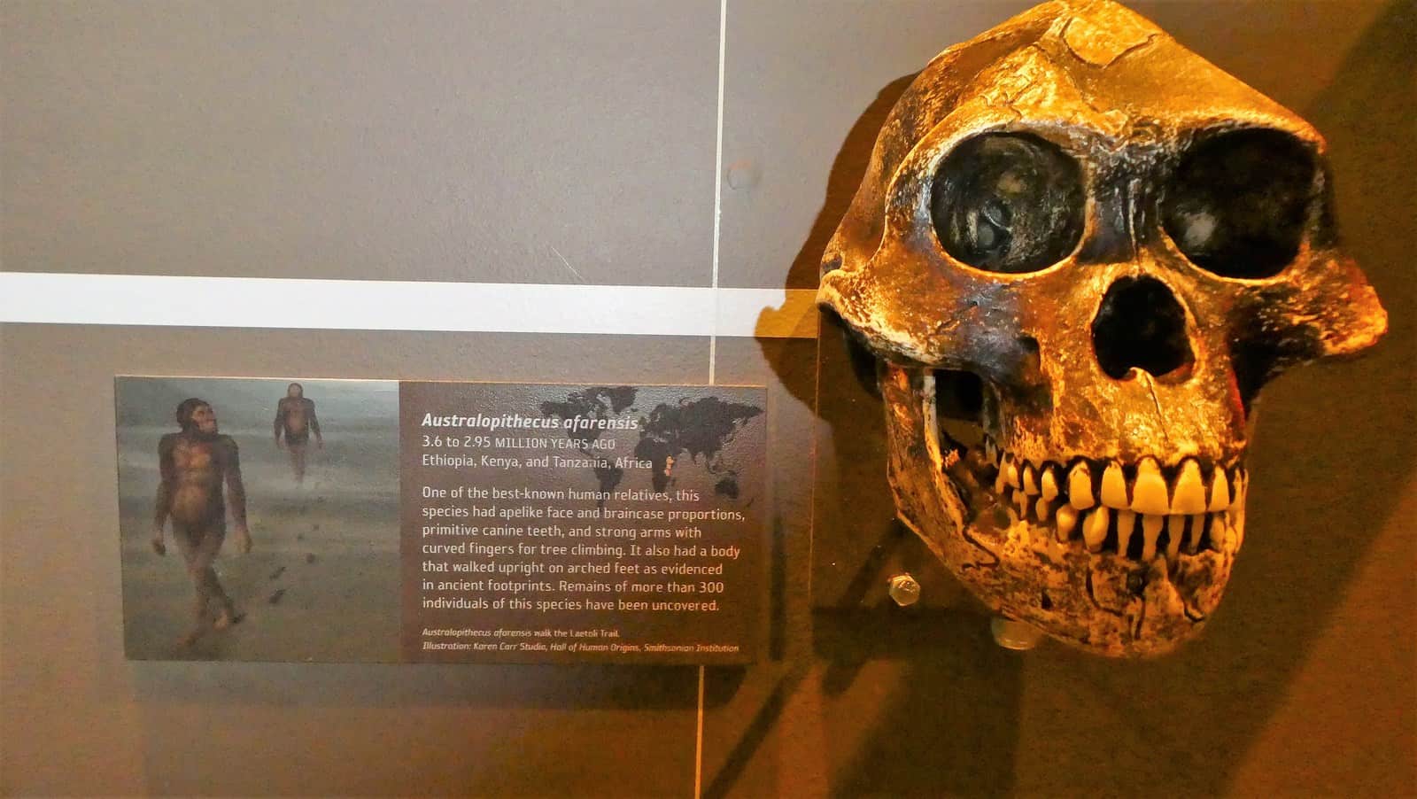 natural history museum things to do in salt lake city