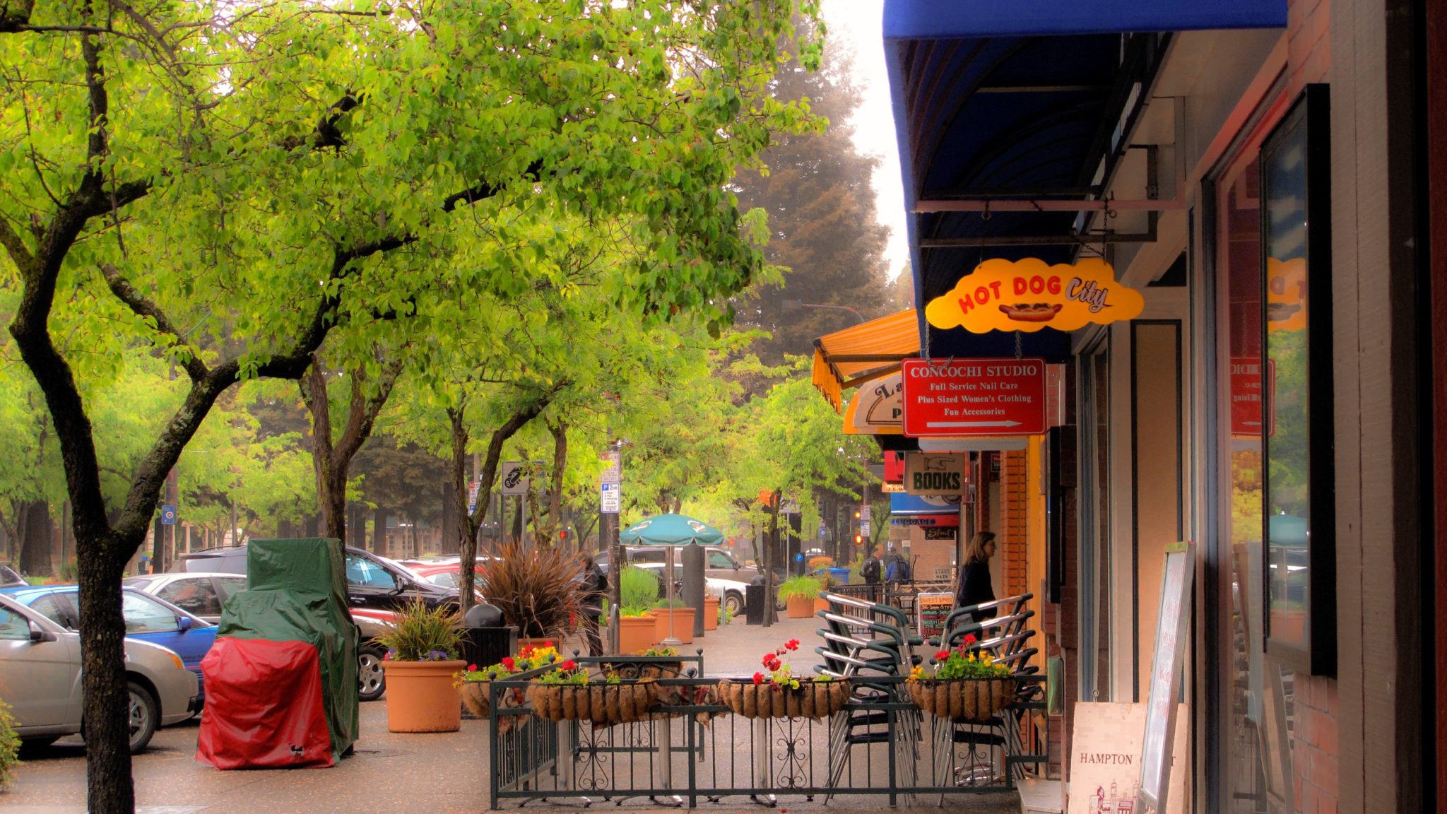 Discover and Enjoy all That is the Best of Santa Rosa Wine