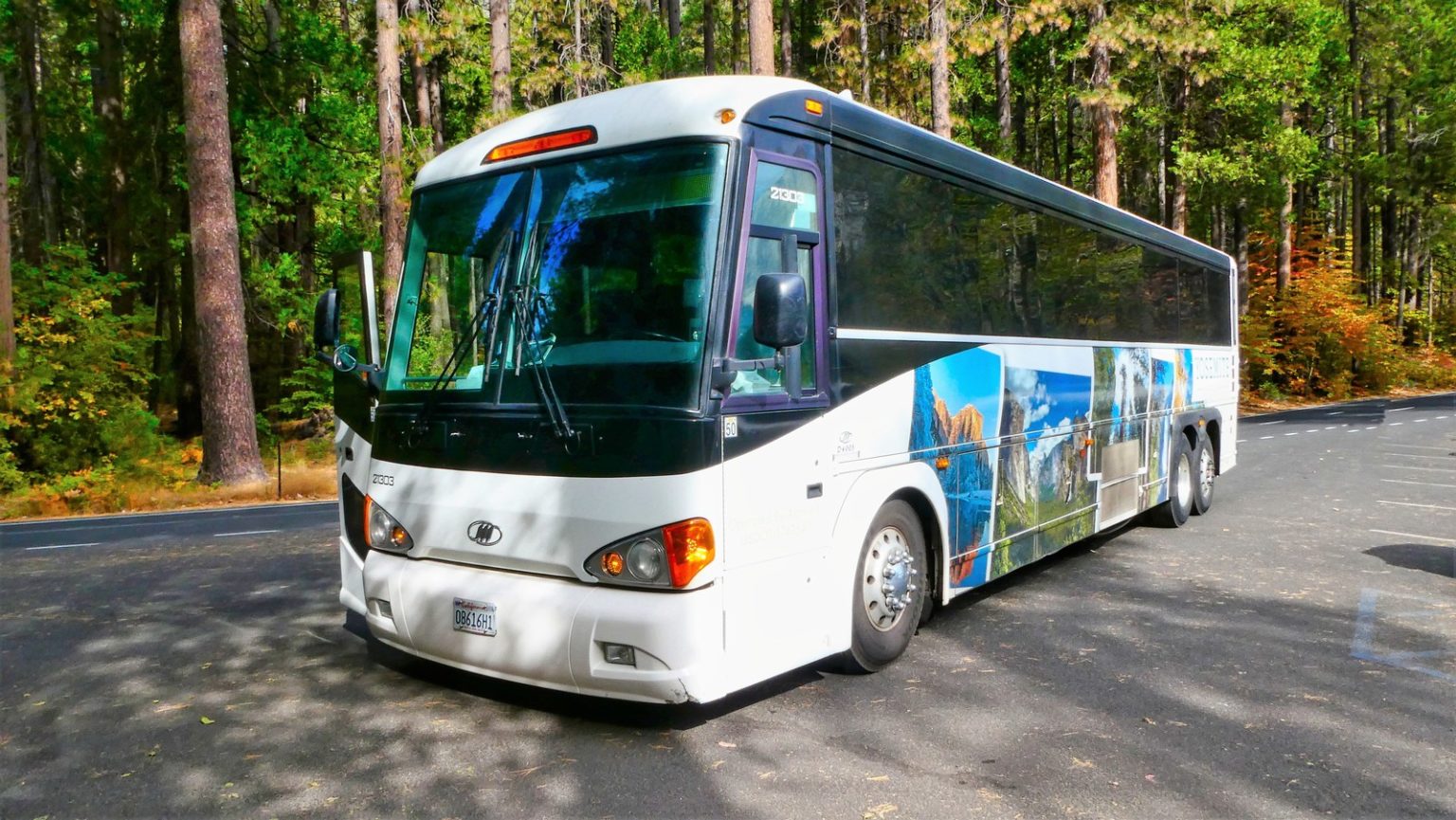 Mariposa, Yosemite & Sequoia a Spotlight on Great Things to See and Do