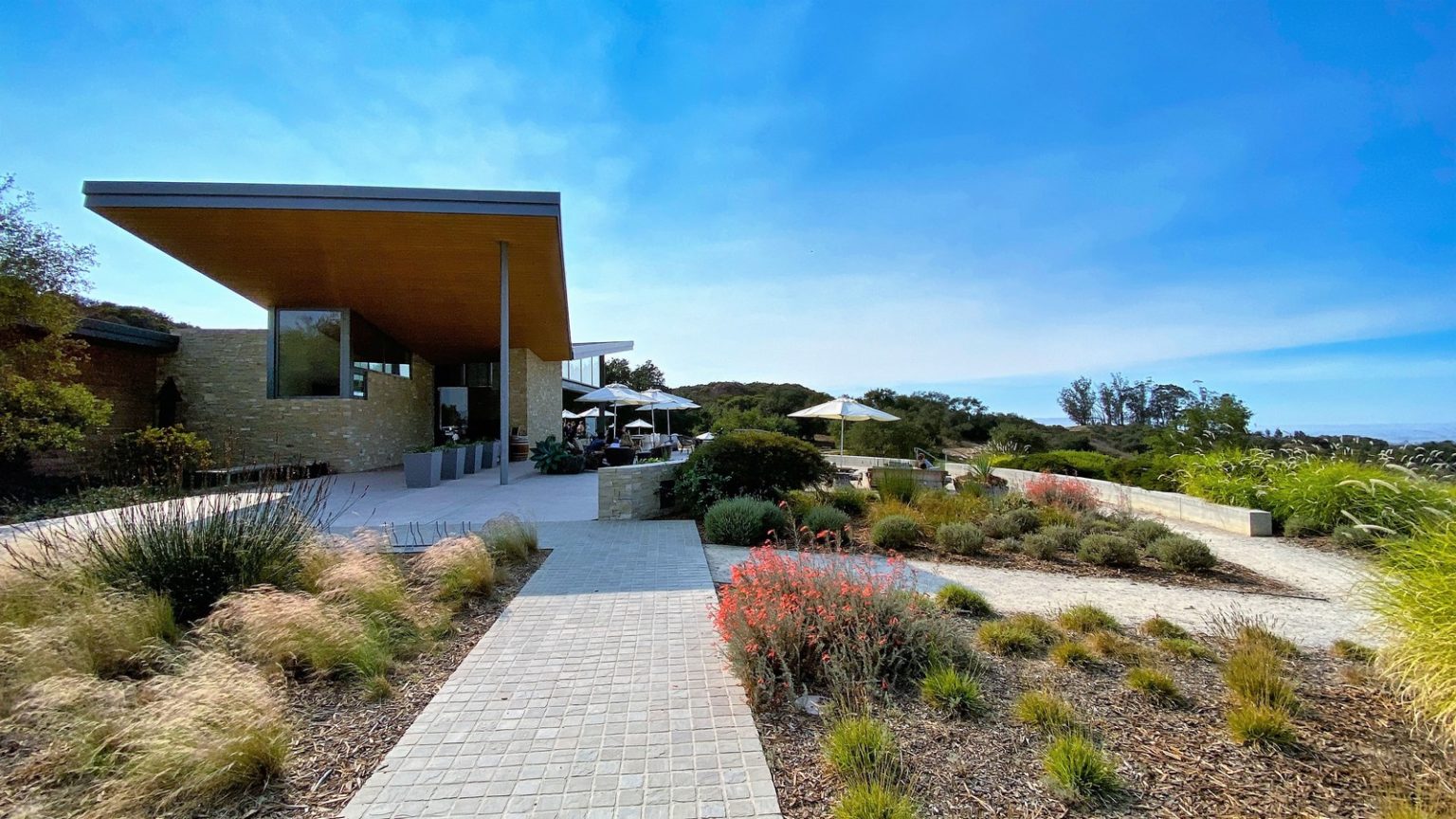 Explore 5 Fantastic Santa Maria Wineries for the First Time