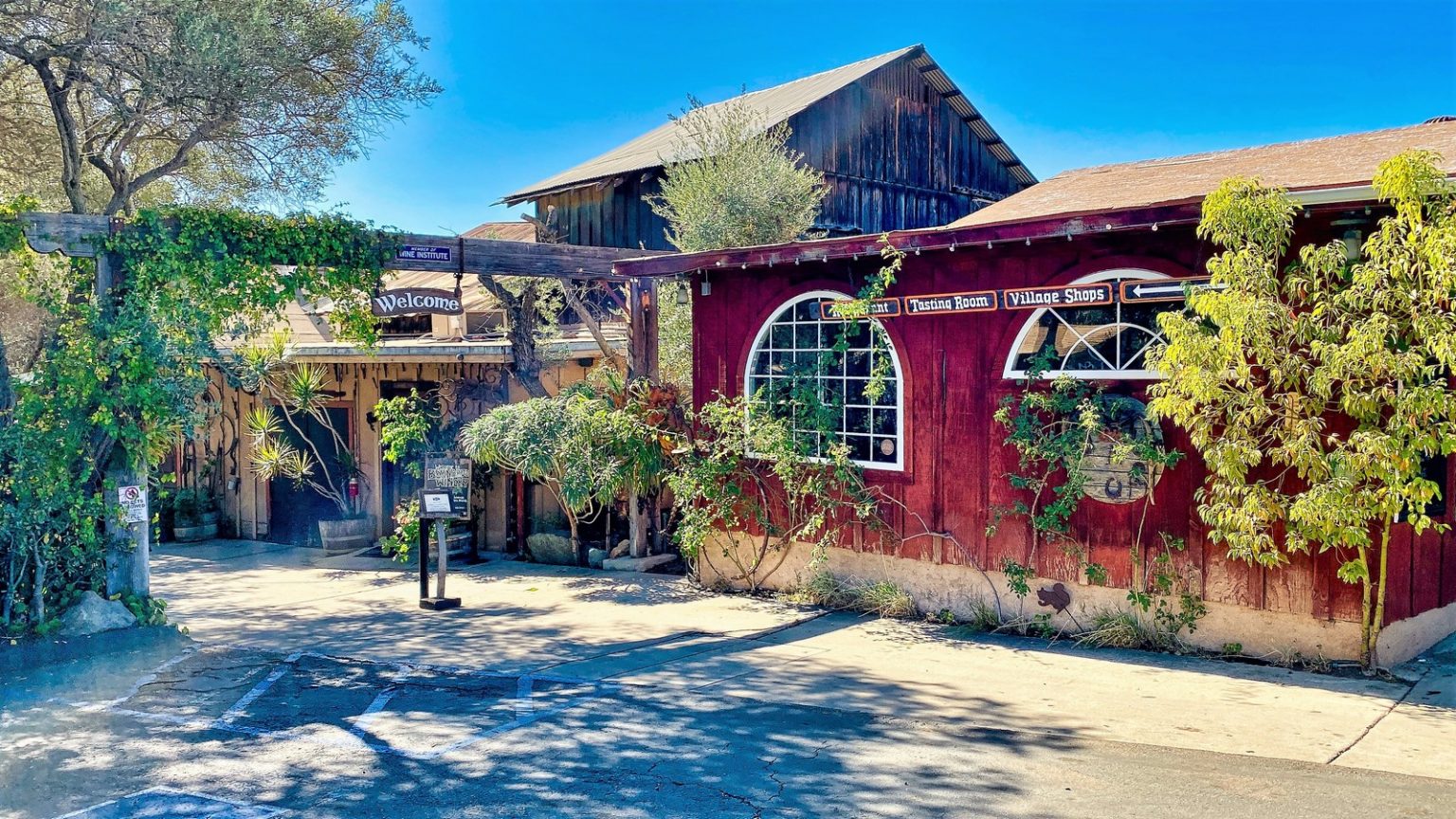 Here is an Absolutely Amazing San Diego Wine and More Weekend